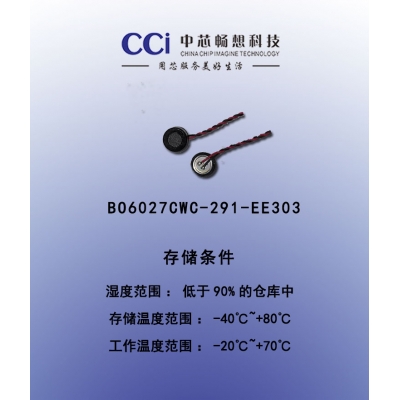 BO6027CWC-291-EE303